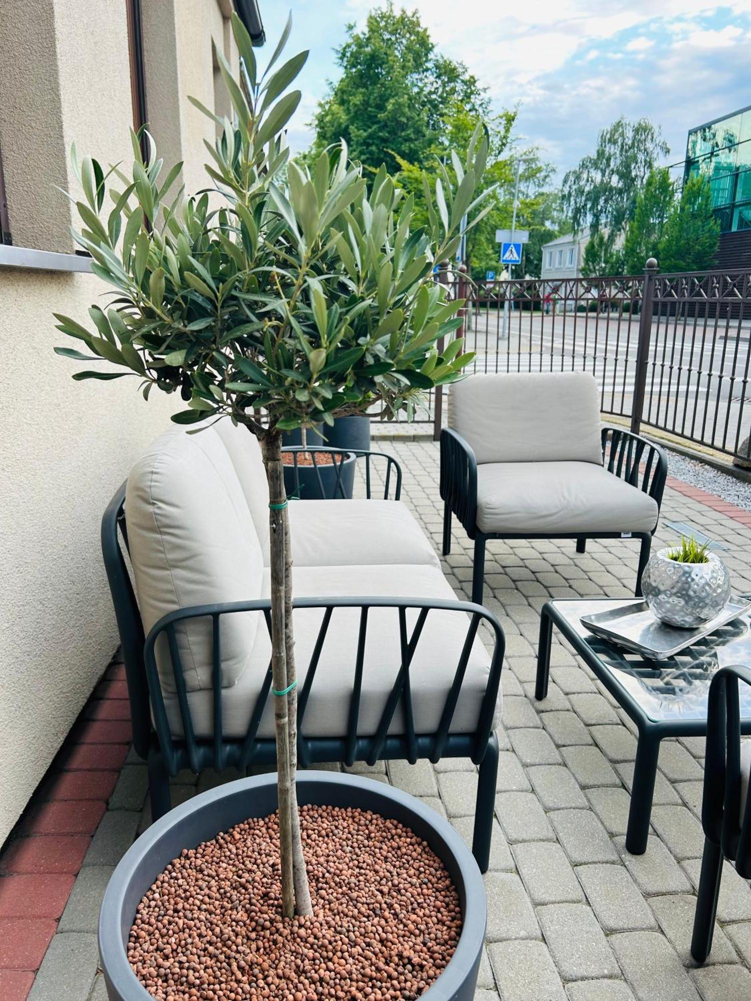 Astos Vila Palanga Ngoại thất bức ảnh